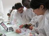 Students in the lab during courses in Avignon © A. Sèye
