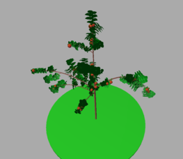 An apple tree simulated with MappleT model 
