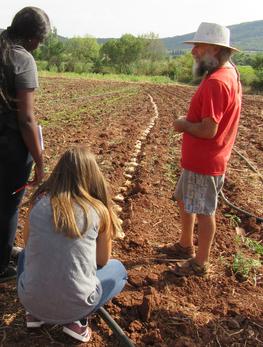 Les étudiants lors d'une enquête de terrain avec un producteur d'oignons © A Seye