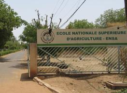 Entrance of ENSA-Thiès campus, where the course took place. © A. Seye