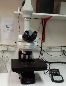 One of the microscopes used by students during module PAMPA. © C. Baptiste