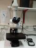 Un des microscopes que les étudiants pourront utiliser pendant le module PAMPA. © C. Baptiste