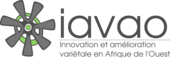 Logo Iavao web
